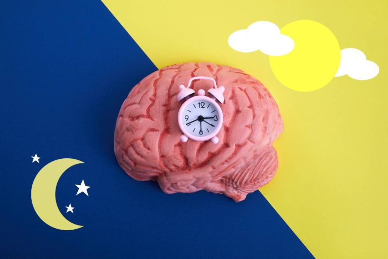 relógio sobre cérebro, sobre fundo representando o dia e a noite. Metáfora para o ciclo circadiano